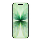 Apple iPhone 17 256 Gb Sage eSim